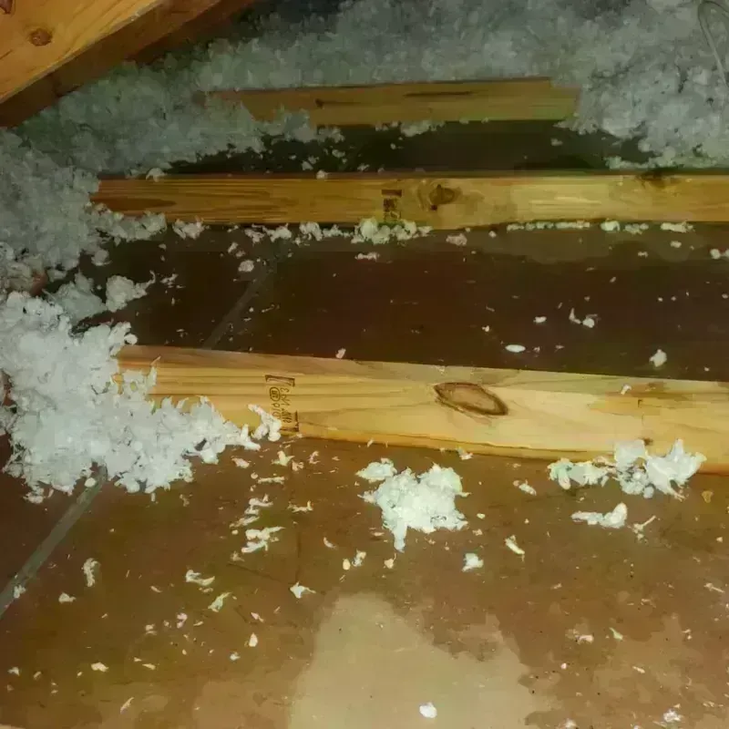 Attic Water Damage in Town Line, NY